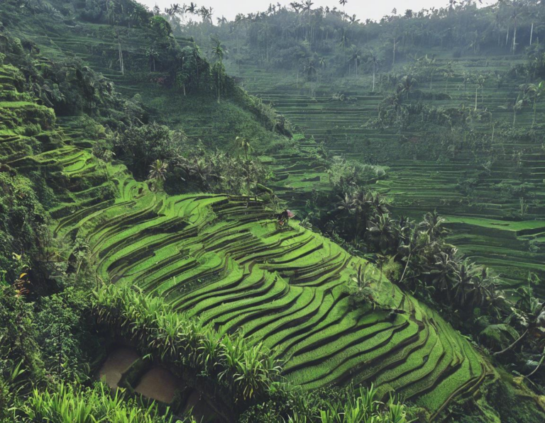 Gunung-Gunung di Bali yang Wajib Anda Jelajahi