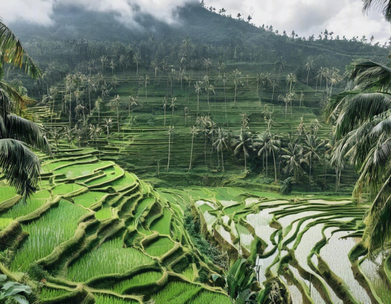 Lokasi-Lokasi Menakjubkan Sawah Terasering di Bali