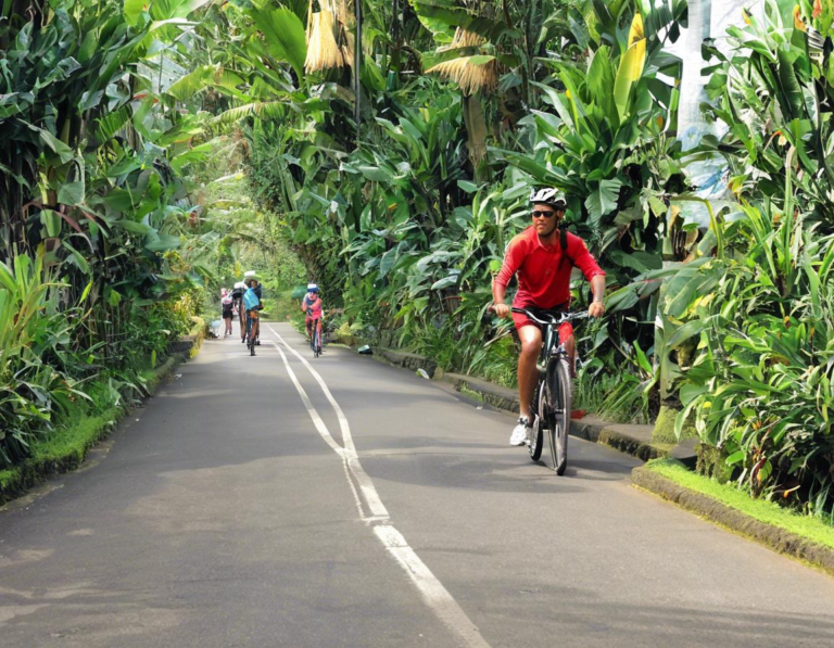 Mengapa Memilih Wisata Sepeda di Bali?