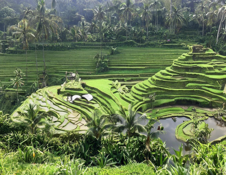 Menjelajahi Bali dengan Nyaman