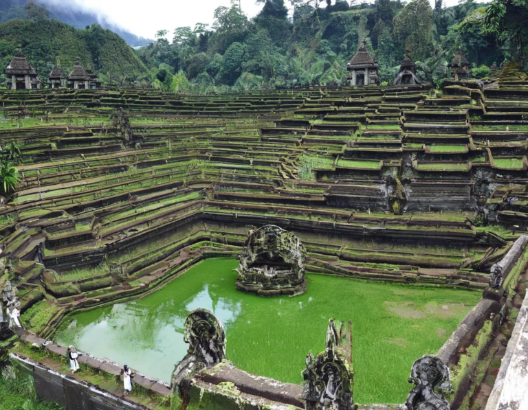 Menjelajahi Keindahan Lainnya di Bedugul