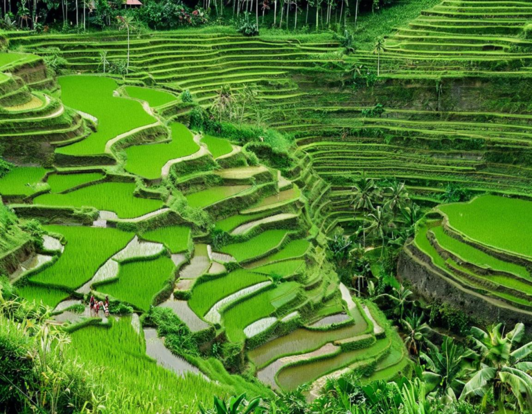 Sejarah Sawah Terasering di Bali