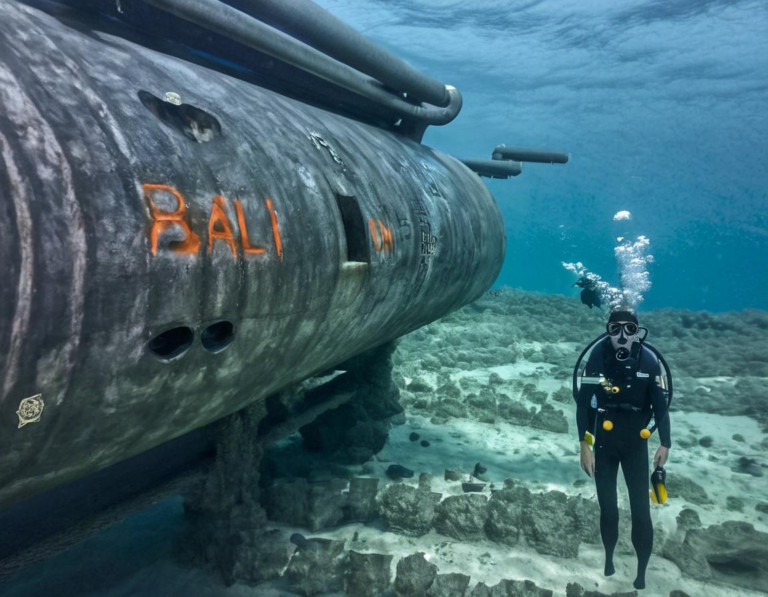 Why Choose a Submarine to Explore Bali's Underwater Wonders?